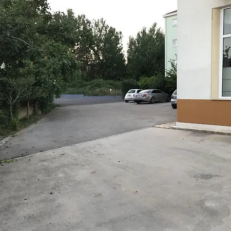 Ivo