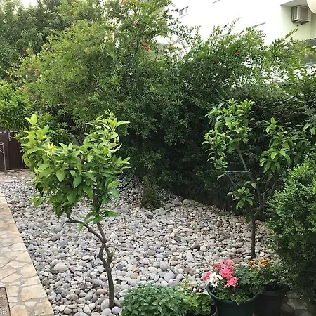 Ivo Guest house *