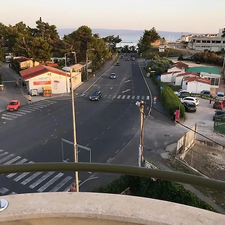 Ivo
