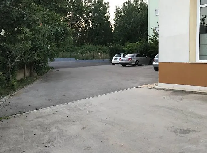Ivo